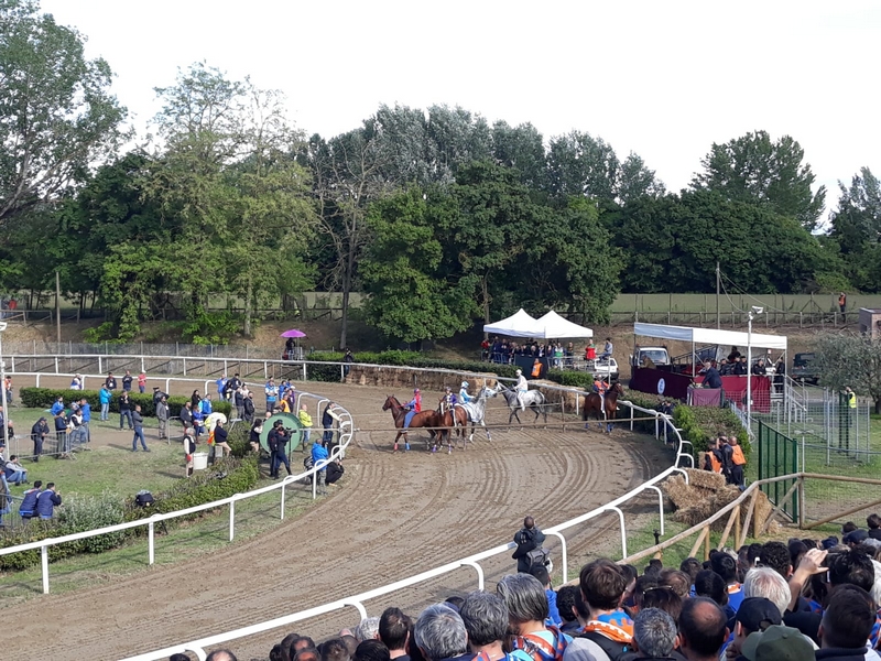 palio_fucecchio_2019_ (4)