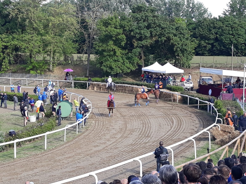 palio_fucecchio_2019_ (5)