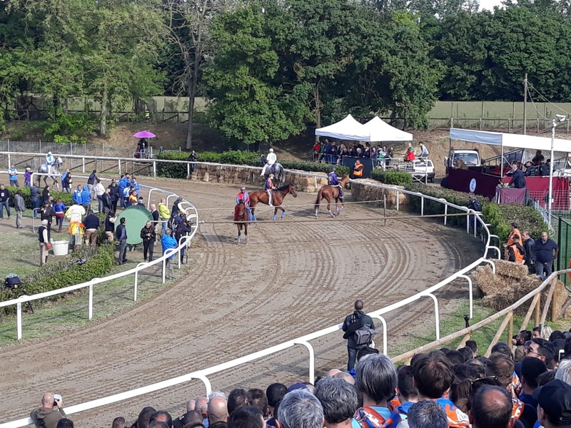 palio_fucecchio_2019_ (6)