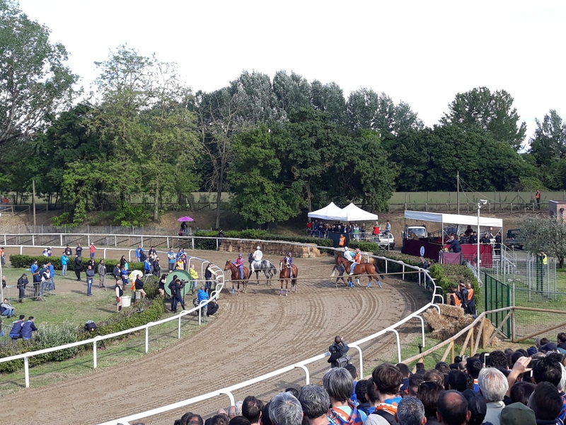 palio_fucecchio_2019_ (7)