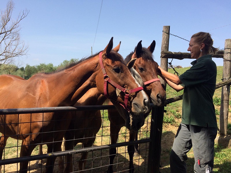 64346313_2313134402234416_1295241069935460352_o