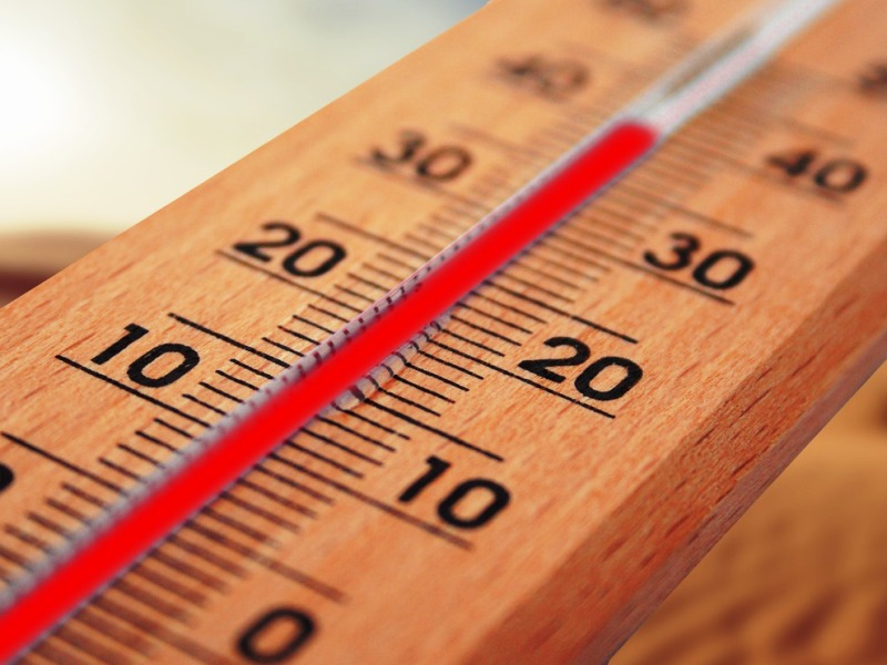 Caldo da codice rosso a Firenze, temperature fino a 38 gradi - gonews.it