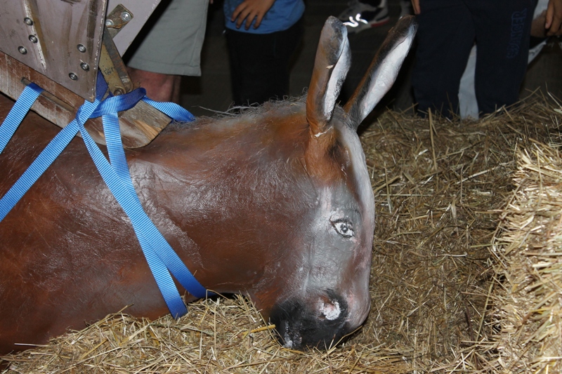 volo_ciuco_empoli_2019_06_22___53