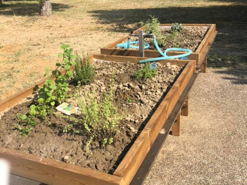 PARCO LIBERA TUTTI certaldo inaugurazione 2019_07_01__9