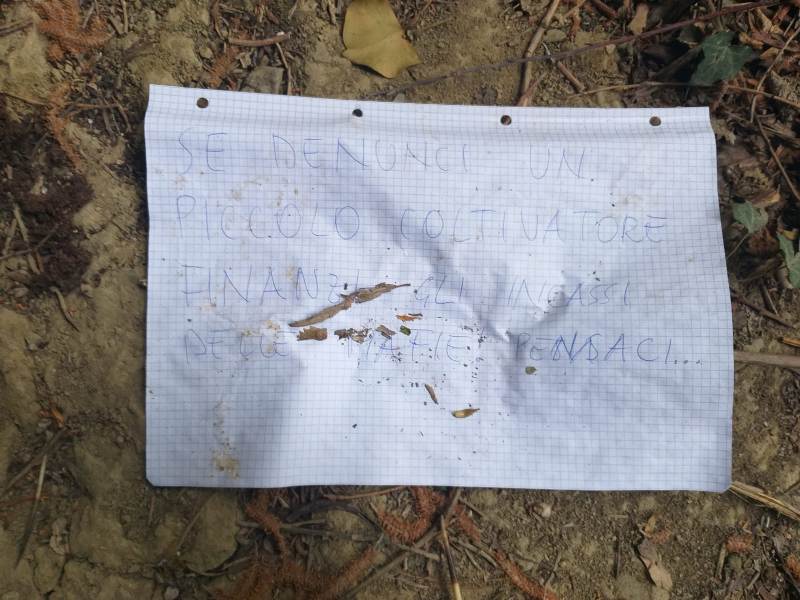 empoli_piantagione_marijuana_ponzano_2019_07_30___3