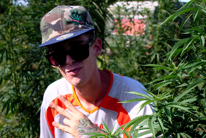 mattia giorgi piantagione canapa piombino_9