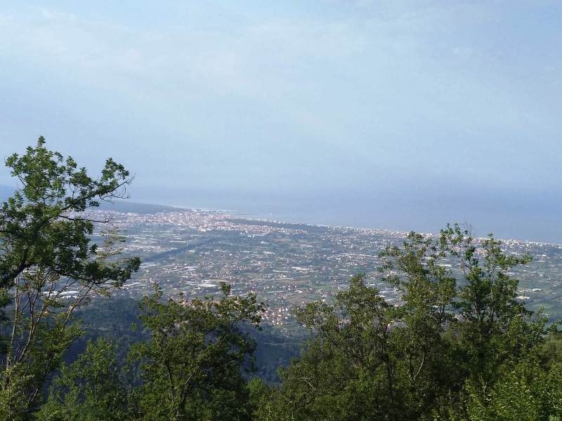 stazzema_sant_anna_cerimonia_ricordo_ (1)