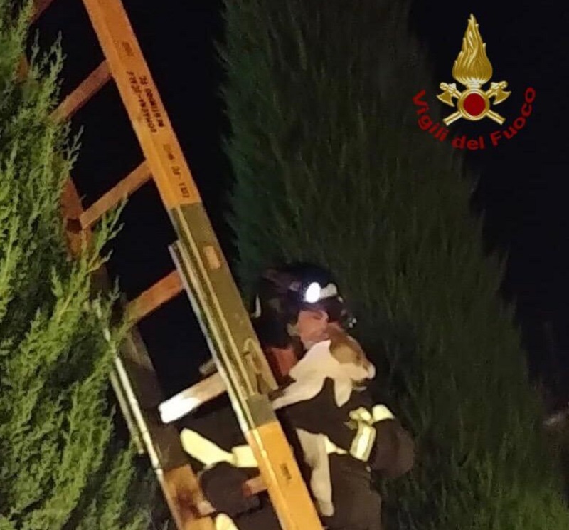 WhatsApp Image 2019-09-08 at 10.43.51