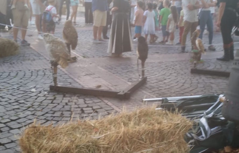 festa_medievale_staffoli_2019_09_01_5