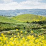 colline fucecchio