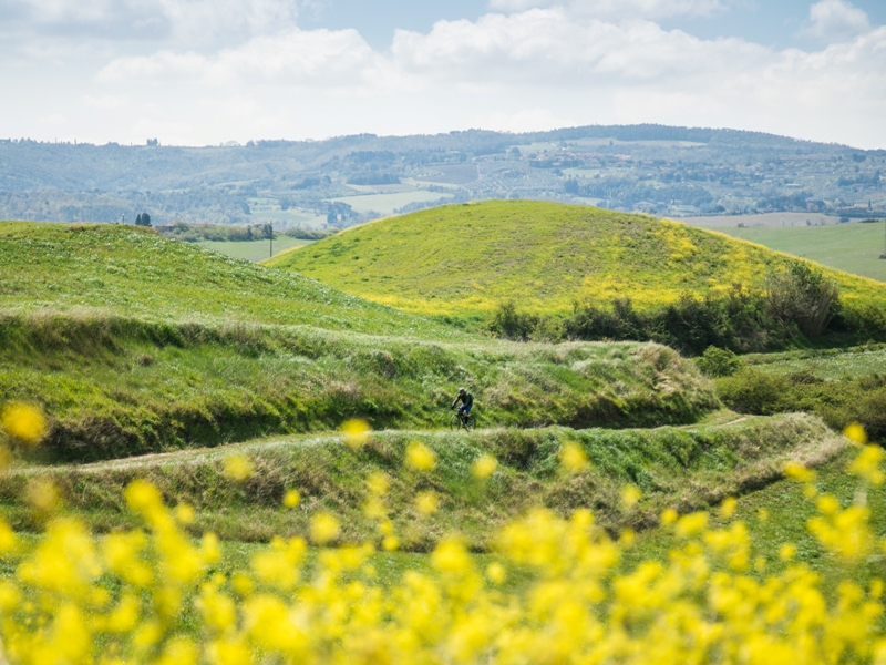 colline fucecchio