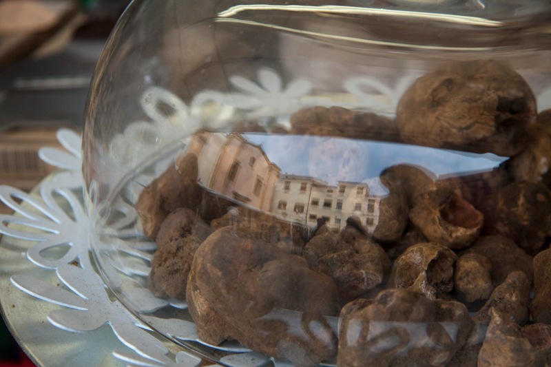 tartufesta_montaione_2019_10_23_10