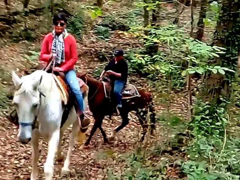 tartufesta_montaione_2019_10_23_15