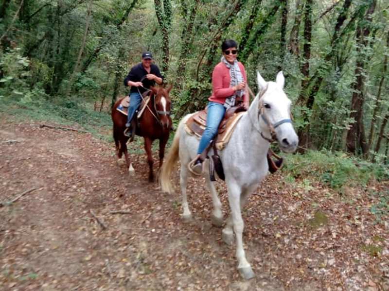 tartufesta_montaione_2019_10_23_16