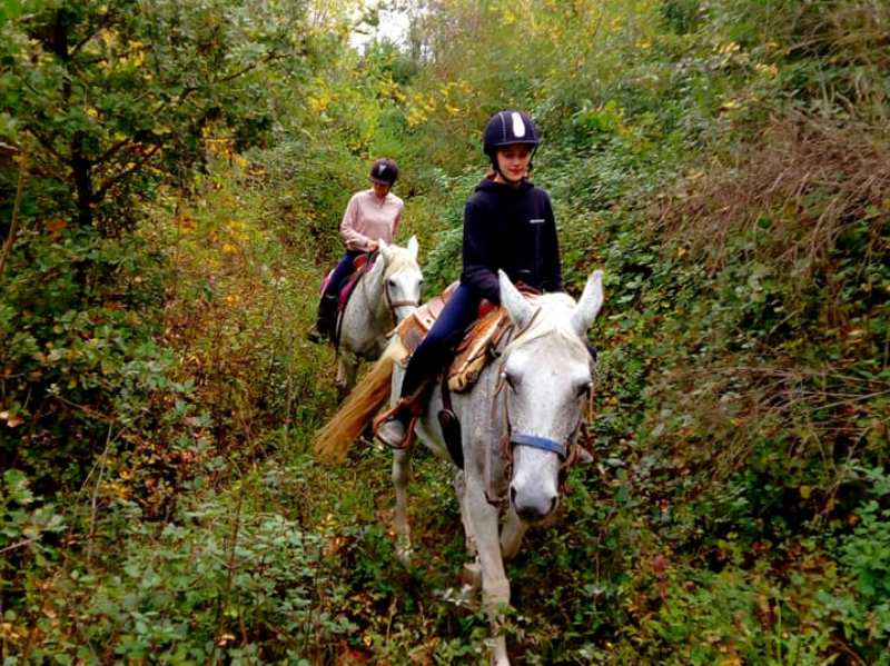 tartufesta_montaione_2019_10_23_17