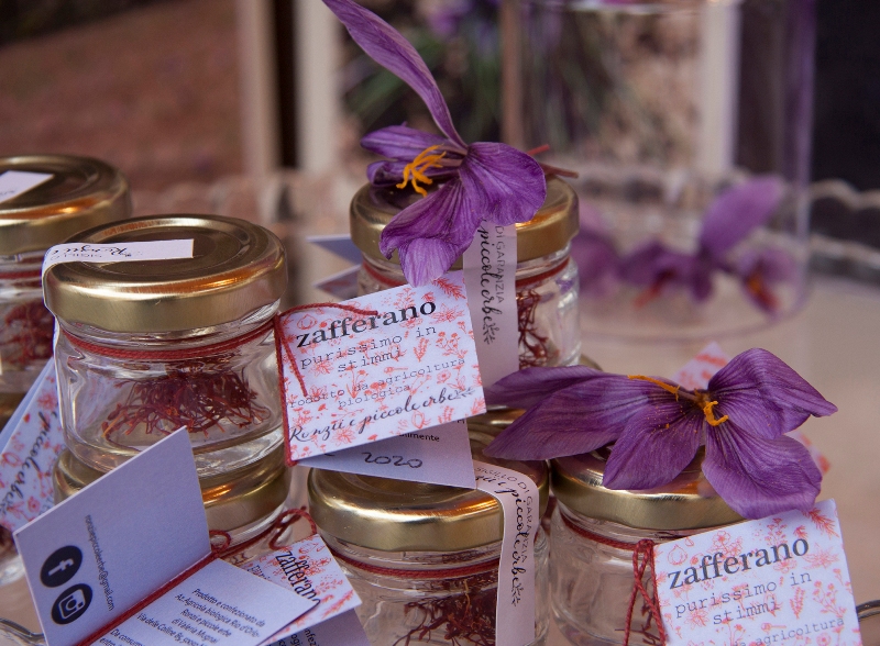 tartufesta_montaione_2019_10_23_20