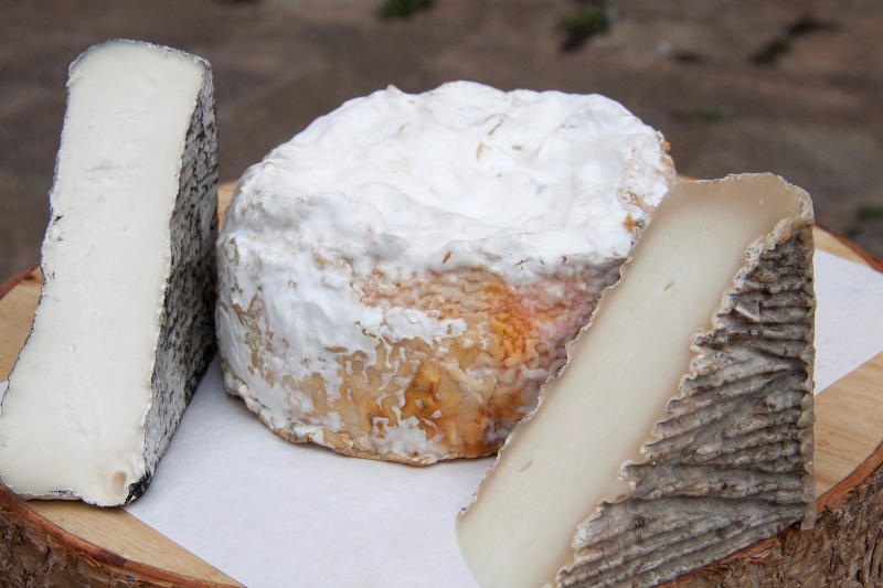 tartufesta_montaione_2019_10_23_21