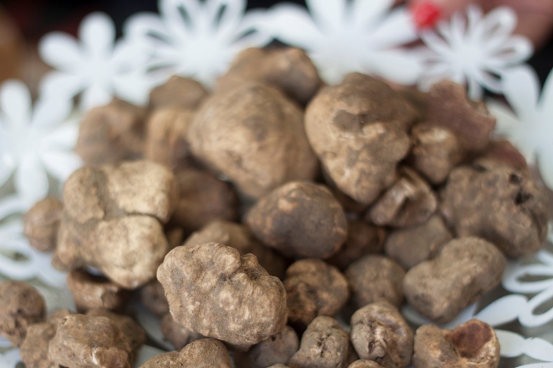 tartufesta_montaione_2019_10_23_9