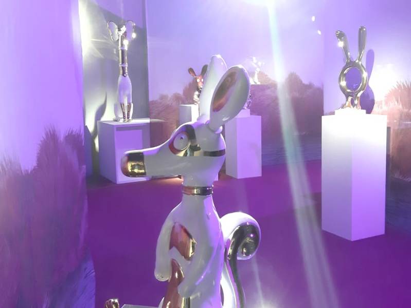 matteo_cibic_paradiso_dreams_montelupo_2019_11_29__11