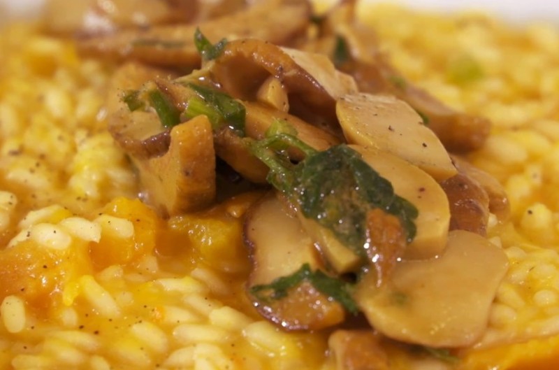 Orzo zucca e funghi gonews.it