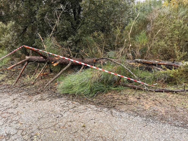 vab_limite_2019_11_18_maltempo_capraia_cerreto_3