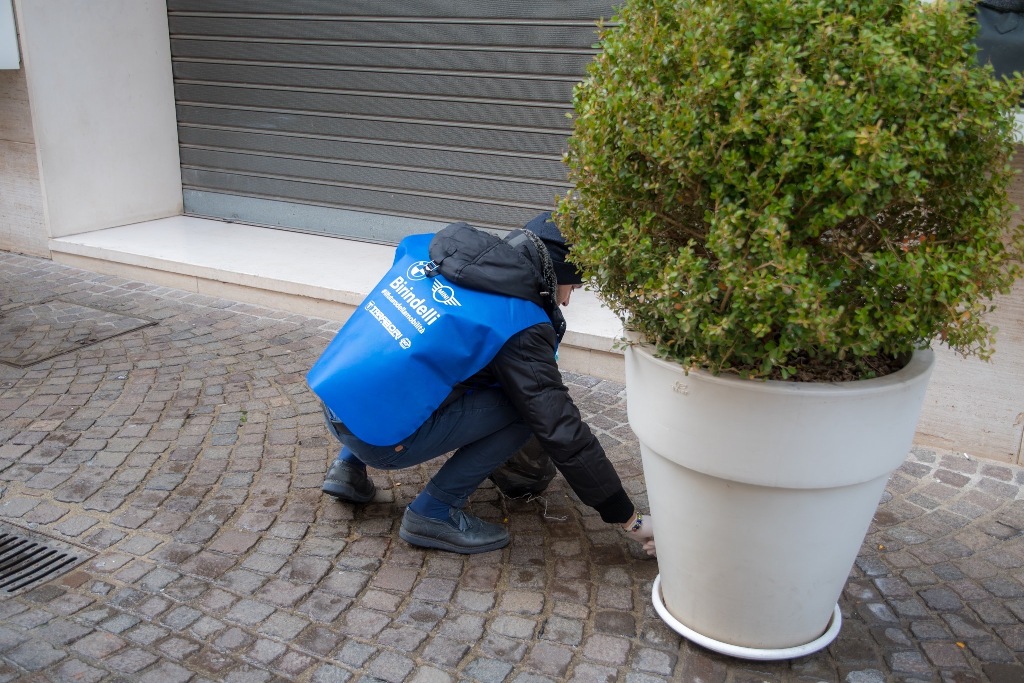 birindelli-SalvAmare_25-26gen20-f