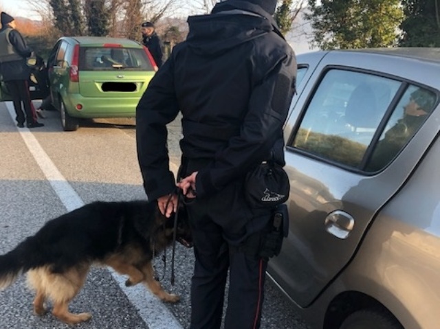 Cani antidroga alle Cerbaie, nuovi controlli dei carabinieri