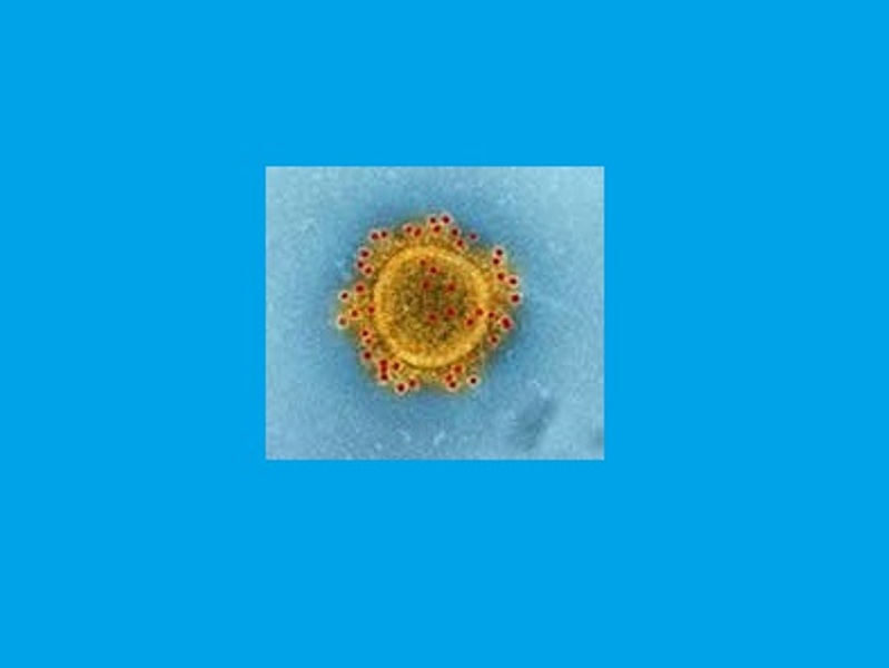 coronavirus firenze