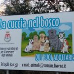 canile la cuccia nel bosco