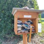 libreria distrutta seano