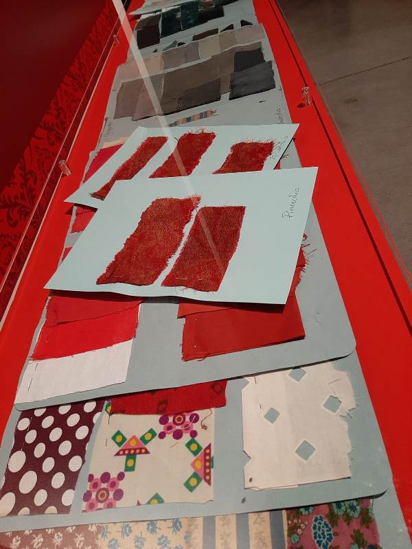 massimo__cantini_parrini_2020­_01_03‑pinocchio9