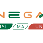 logo enegan