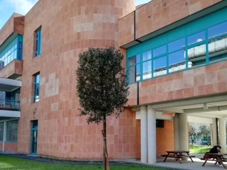 La Migliore Università Di Giurisprudenza In Italia