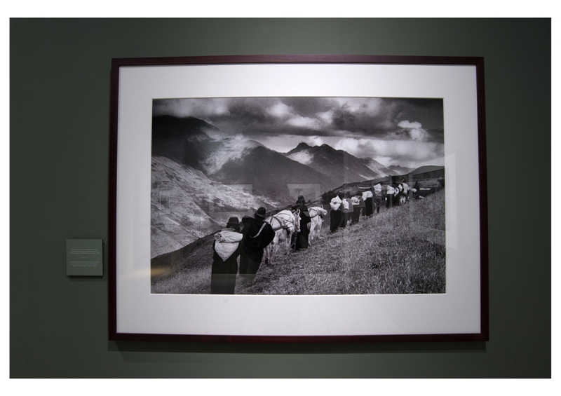 pistoia_musei_sebastiao_salgado_10