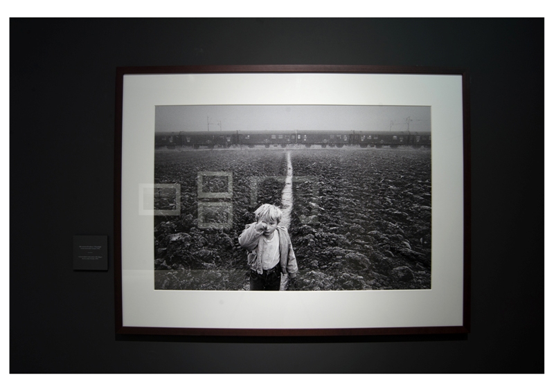 pistoia_musei_sebastiao_salgado_21