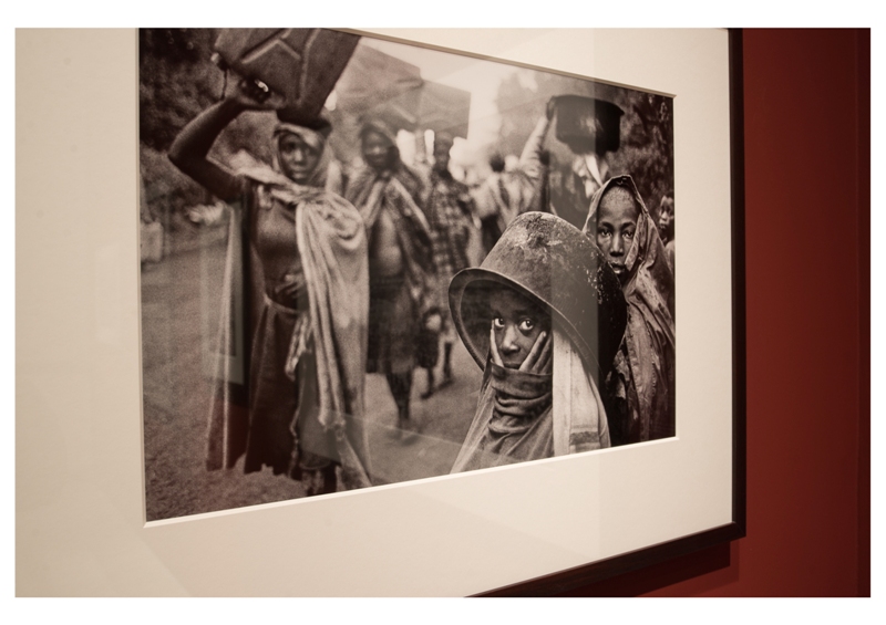 pistoia_musei_sebastiao_salgado_44