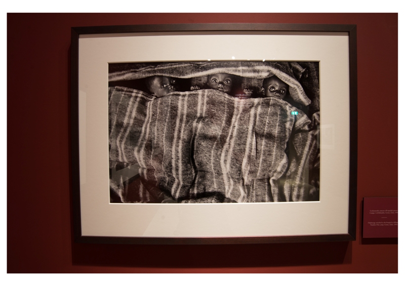 pistoia_musei_sebastiao_salgado_46