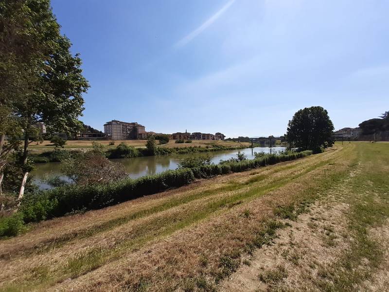 sfalci_arno_elsa_firenze__consorzio_bonifica_1