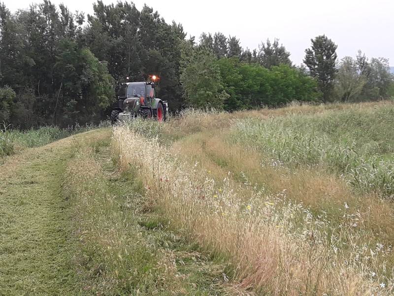 sfalci_arno_elsa_firenze__consorzio_bonifica_15