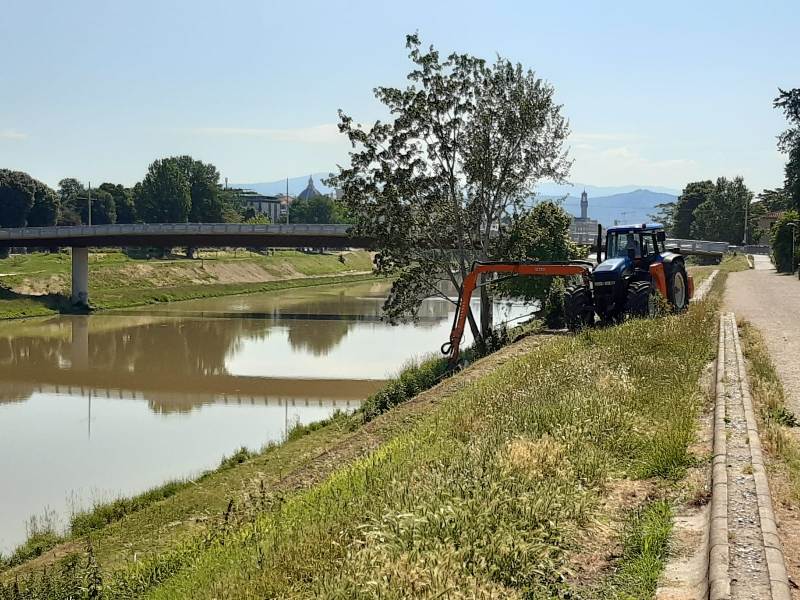 sfalci_arno_elsa_firenze__consorzio_bonifica_17