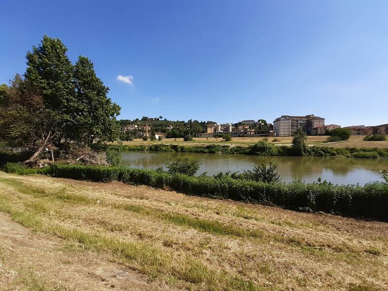 sfalci_arno_elsa_firenze__consorzio_bonifica_2