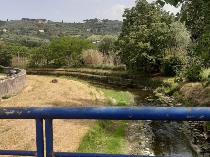 sfalci_arno_elsa_firenze__consorzio_bonifica_6