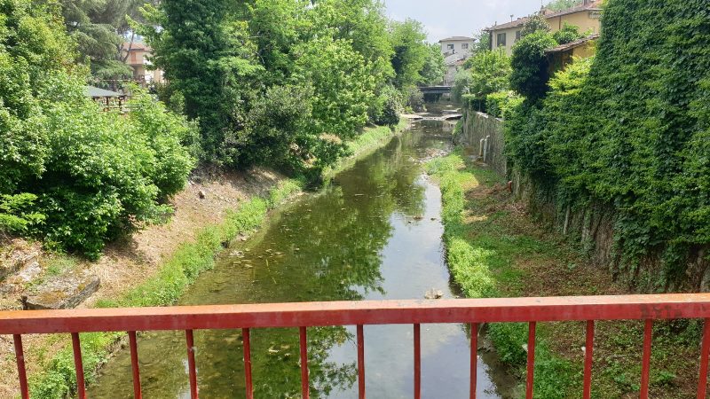 sfalci_arno_elsa_firenze__consorzio_bonifica_9