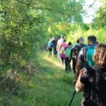 parco san rossore generica