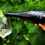 Fermento Montespertoli