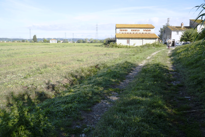 omicidio checcucci arresto