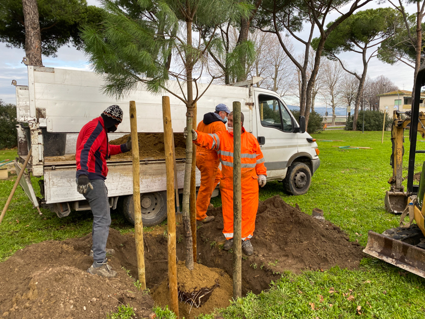 Piantumazione_alberi_piazza_ristori-24