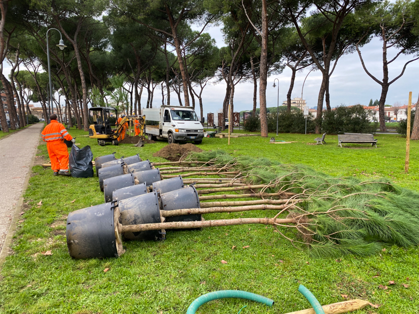Piantumazione_alberi_piazza_ristori-25