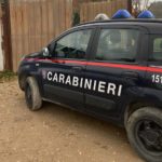 https://www.gonews.it/wp-content/uploads/2020/12/carabinieri_sequestro_area_rifiuti_speciali_firenze2-150x150.jpg