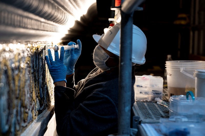 restauro_mosaici_duomo_firenze_2021_01_22_6